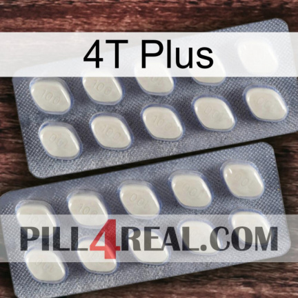 4T Plus 07